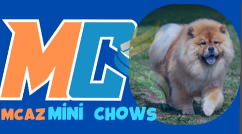 MCAZ Mini chows